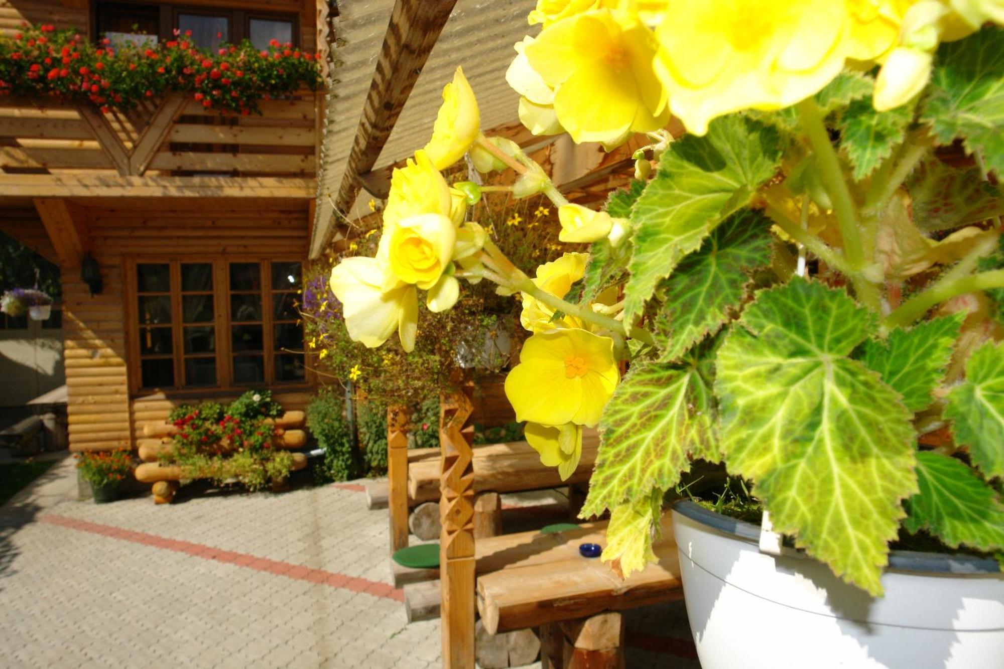 Pension Crizantema Vatra Moldovitei Exterior photo